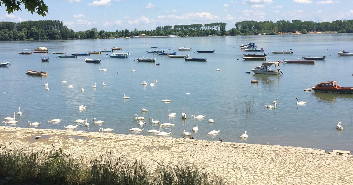 Zemun Quayside